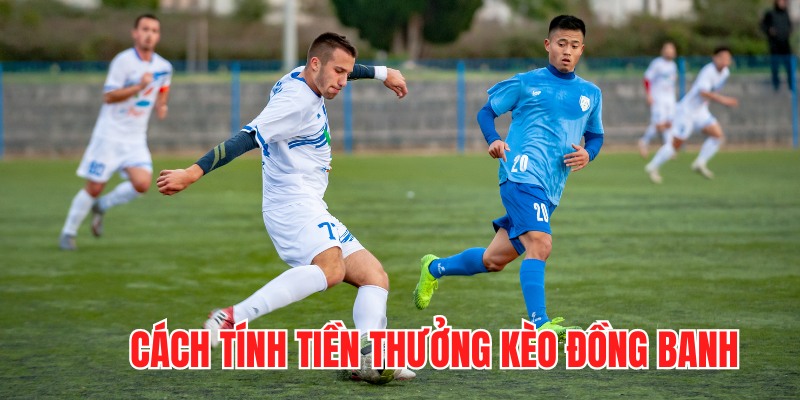 Tính tiền thưởng khi chơi kèo 0-0 trong cá độ bóng đá