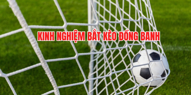 Chia sẻ kinh nghiệm bắt kèo đồng banh chuẩn 